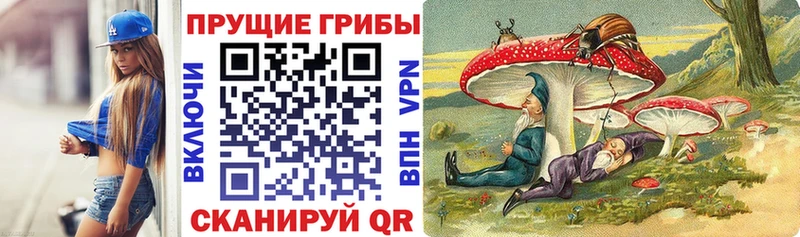 что такое наркотик  Лодейное Поле  Псилоцибиновые грибы мухоморы 