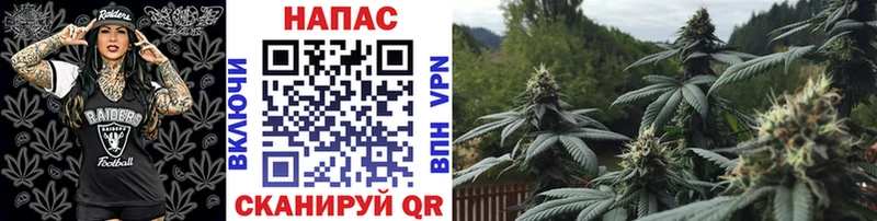omg маркетплейс Лодейное Поле Шишки марихуана конопля как найти